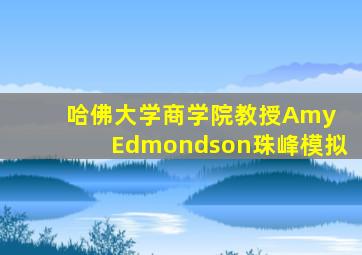 哈佛大学商学院教授Amy Edmondson珠峰模拟